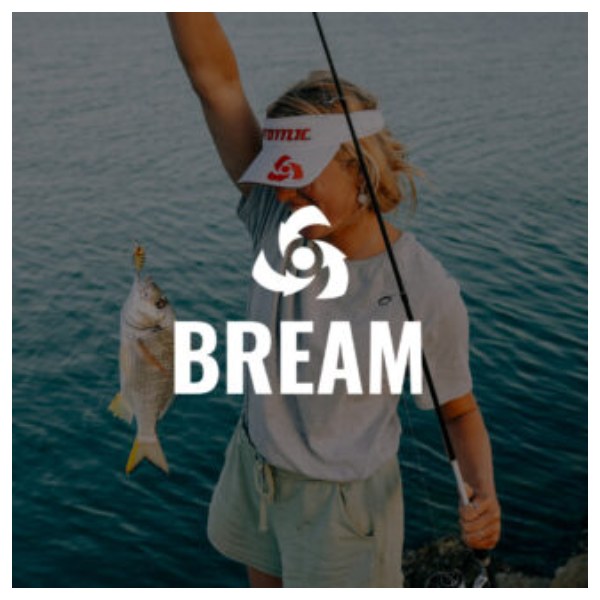Atomic Arrowz Rod - Bream