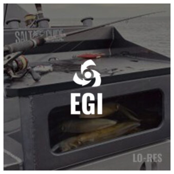Atomic Arrowz Rod - Egi