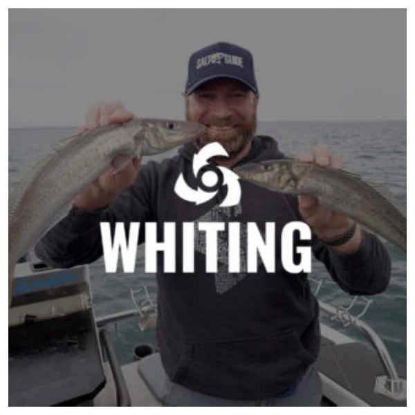 Atomic Arrowz Rod - Whiting