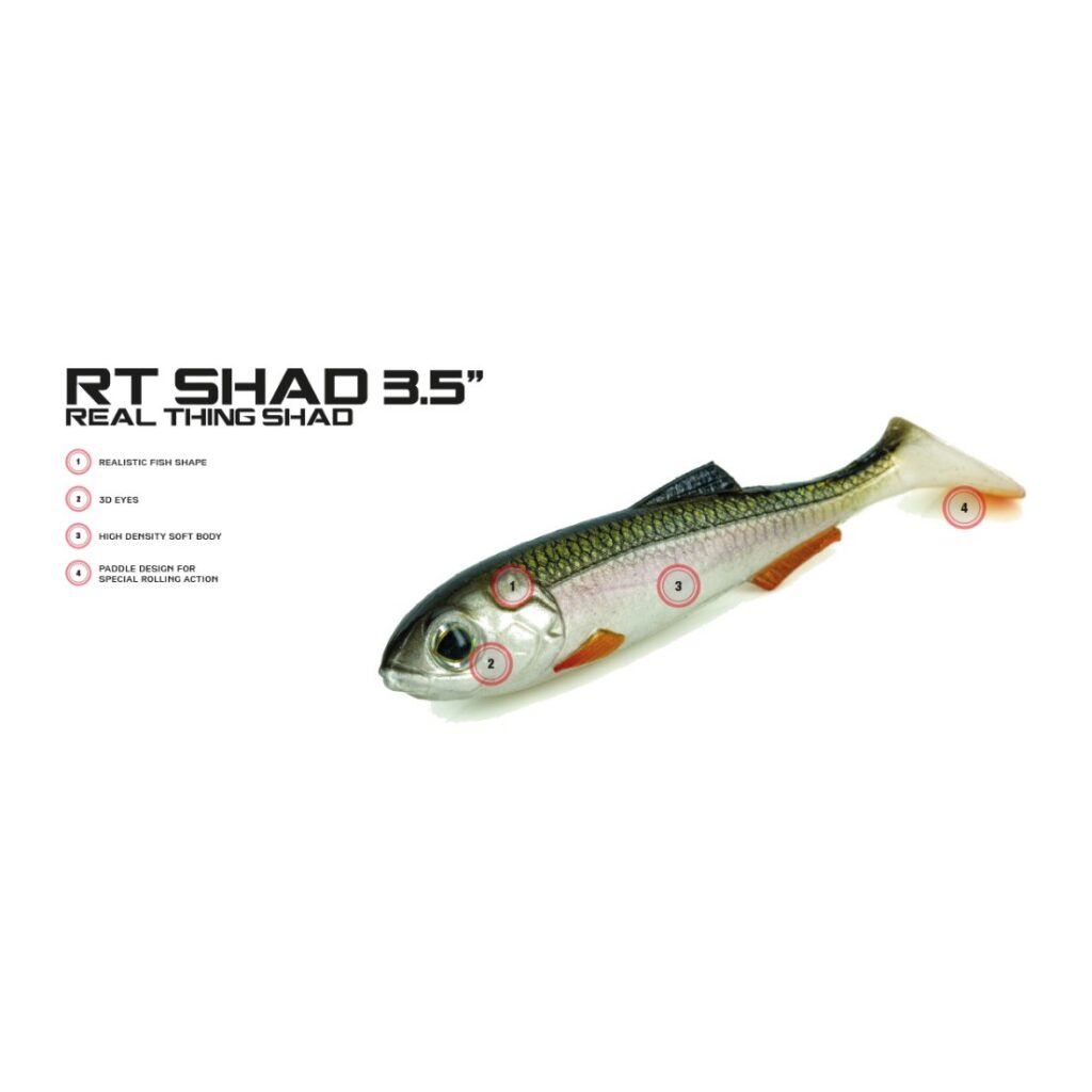 Molix RT Shad 3.5”