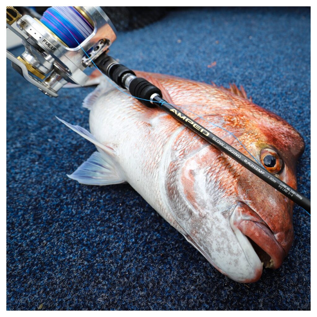 Ns Amped II Jigging