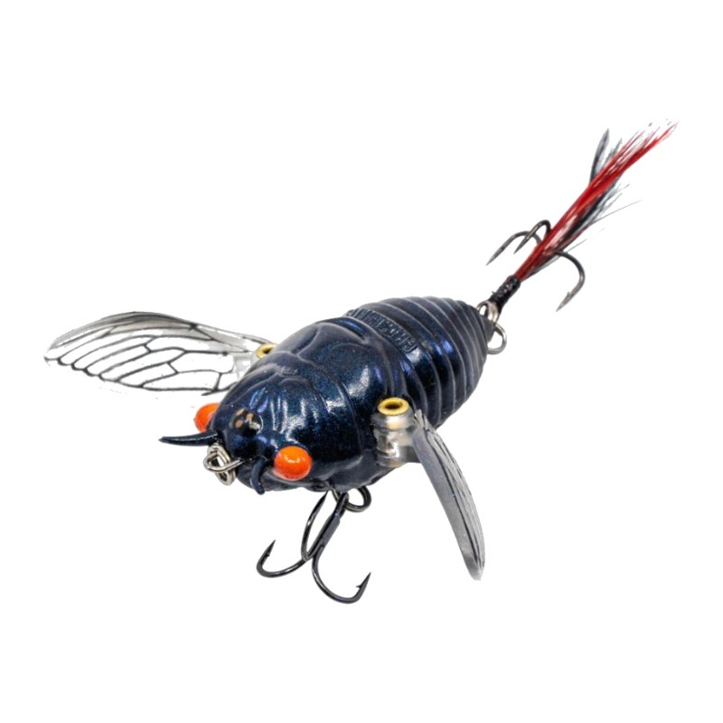 Ripple Cicada 43