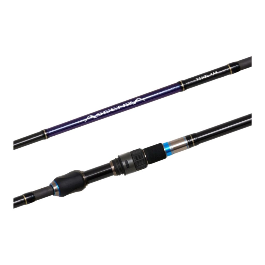 Shimano 24 Ascenza