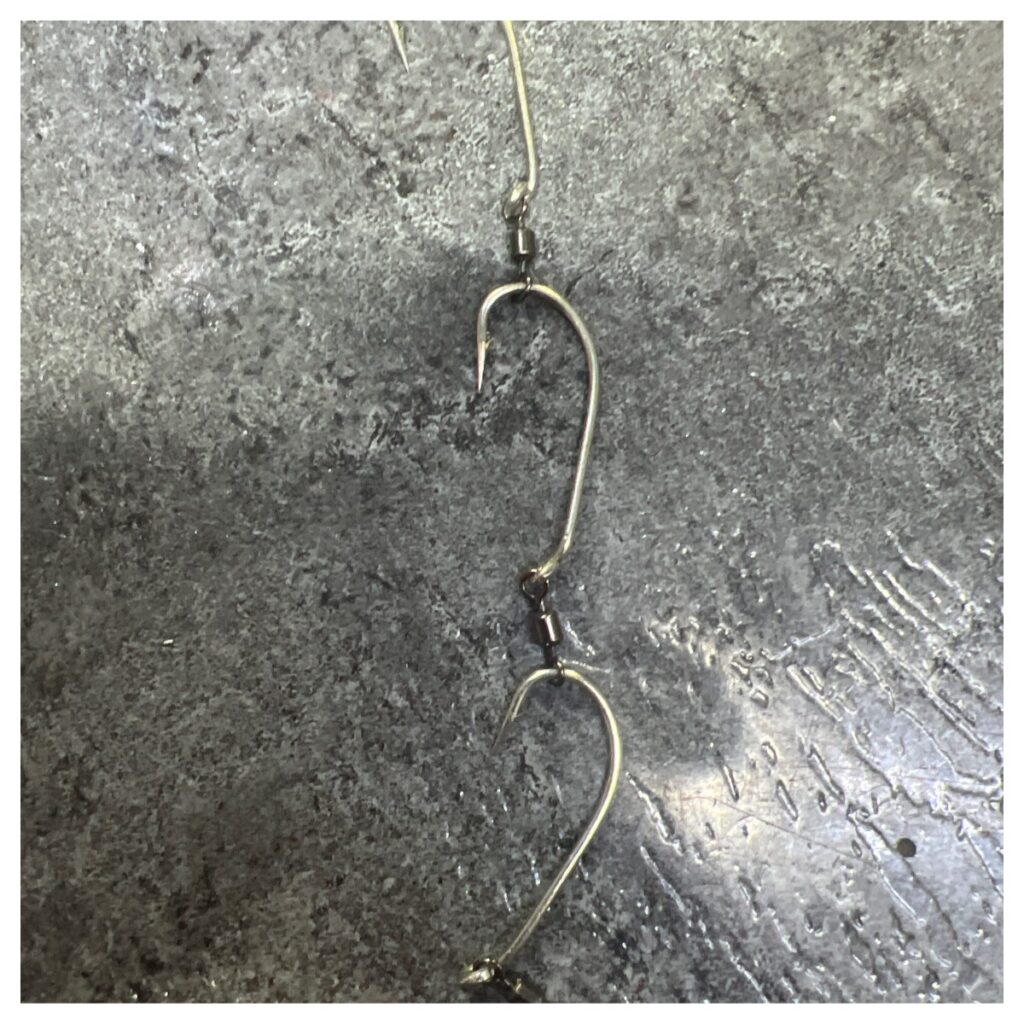 Shop Gang Hooks