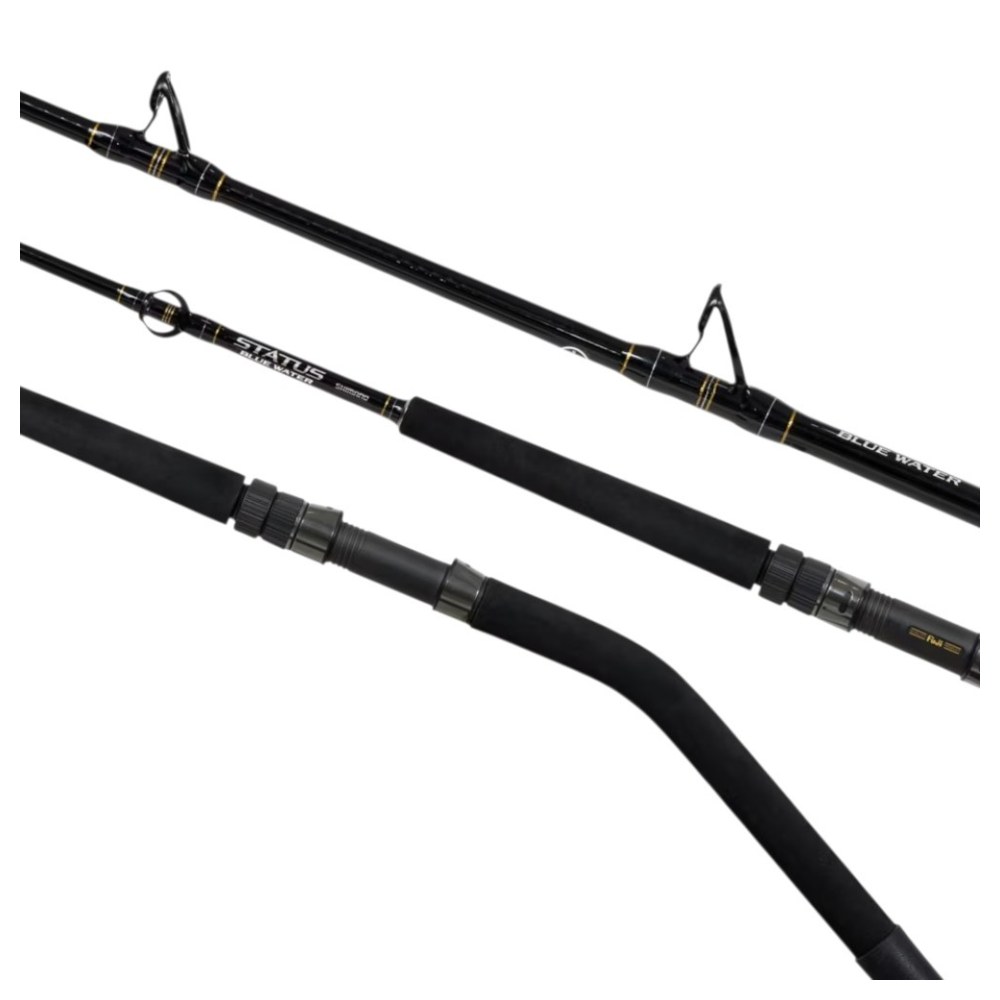 Status Light 6' 2pc 30-50LB Bluewater Light Deep Drop